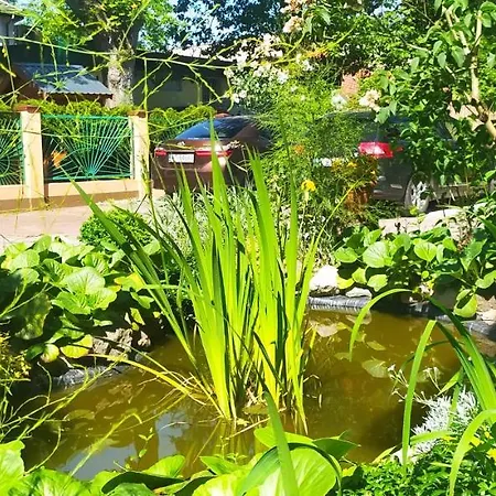 U Mirka בית אירוח *